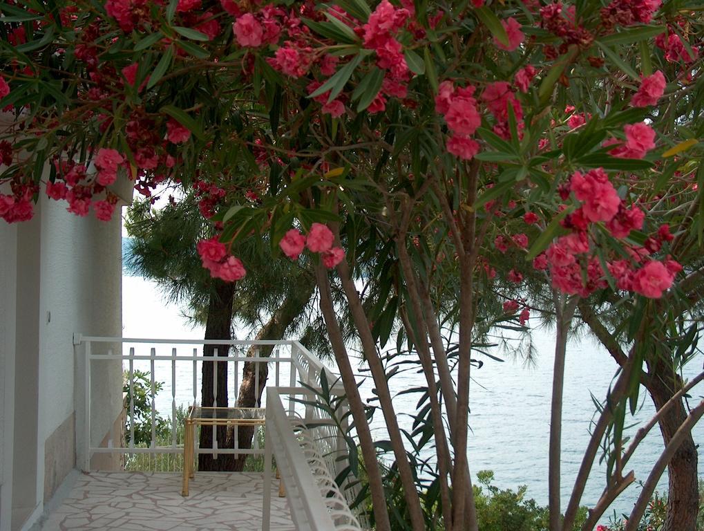 Villa Blanka Donji Okrug  Phòng bức ảnh
